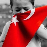 Fernandotorres (@fernand66840432) Twitter profile photo