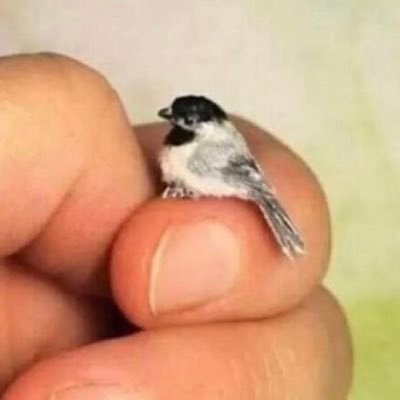 OvOさんのプロフィール画像