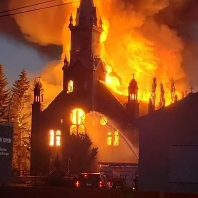 overgaybitch's profile picture. she/her.