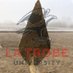 La Trobe University Archaeology (@LTUArchaeology) Twitter profile photo