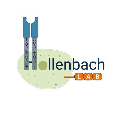 Hollenbach Lab | UCSF | Focused on the extremely polymorphic human leukocyte antigen (HLA) and killer immunoglobulin-like receptor (KIR) immunogenetic systems