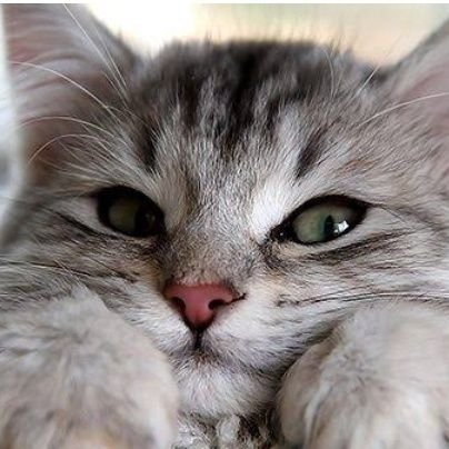 1112thunder's profile picture. เอาไว้รีทวิต ตรวจเจอ 8 มิถุนายน 2563 cd4 917 เก็บความผิดพลาด มาเป็นแรงสู้ต่อ.