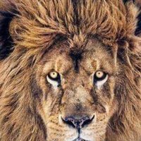 @leonguerrero (@carlos313110) 's Twitter Profile