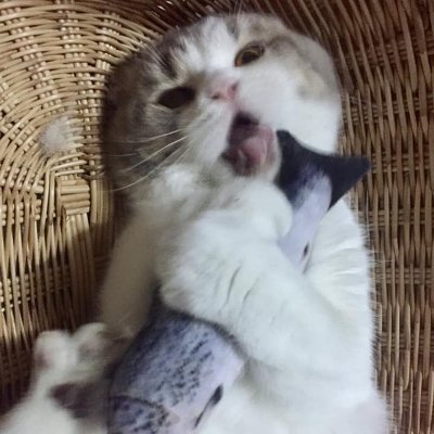 Smightyさんのプロフィール画像