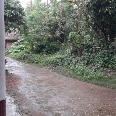 cartoon_corner's profile picture. cartoon & photography