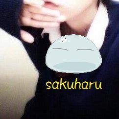 さくはるさんのプロフィール画像
