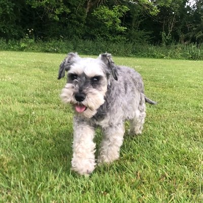 ellroses's profile picture. 