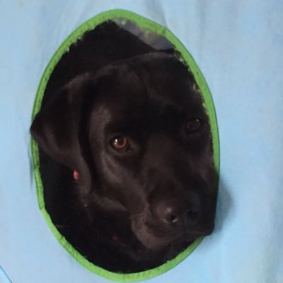 gscottmusic's profile picture. Don’t do what Donny Don’t does