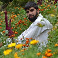 Syed Lal Qasim Sherazi(@lq_110) 's Twitter Profile Photo