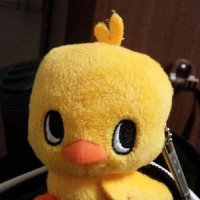 yurimarimo (@yurimarimo) 's Twitter Profile