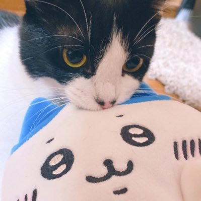 よりたさんのプロフィール画像