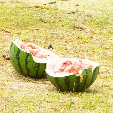 じゅらふさんのプロフィール画像