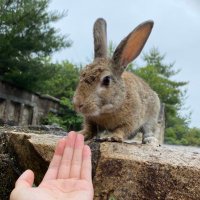 K-まちゃ (@eos_kch) 's Twitter Profile Photo