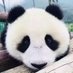 @pandapapapanppo