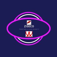 Zimbabwe Sex Workers Coalition (@zimsexworkco) 's Twitter Profile