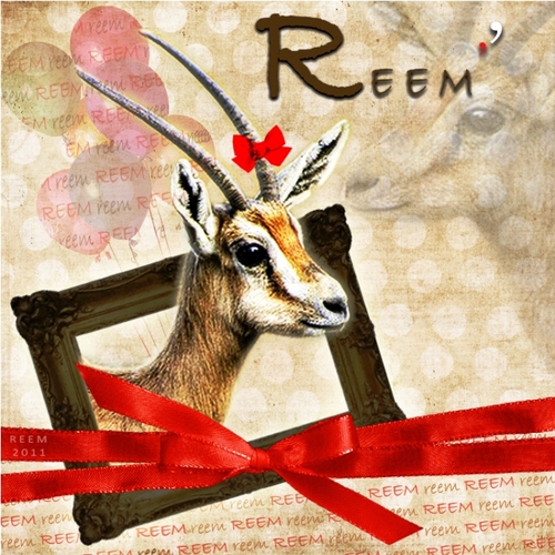 Reeming_'s profile picture. غرباءُ ولغير الله لانحني الجباه .. غرباء وارتضيناها شعاراً للحياة.. غرباءُ هكذا الآحرار في دنيا العبيد
Cancer Patient - Under Chemotherapy Temporarily