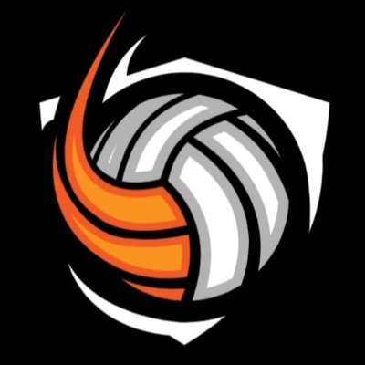 This page is dedicated to all people who desire to be the best professionals and people possible through the game of volleyball.