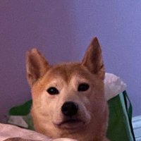 rahcxl (@rahcelscorner) 's Twitter Profile Photo