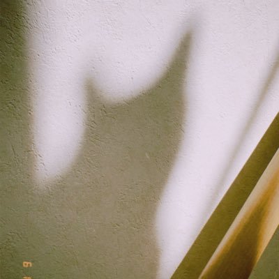 トマトヘアーさんのプロフィール画像