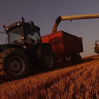 Alks73629345's profile picture. 