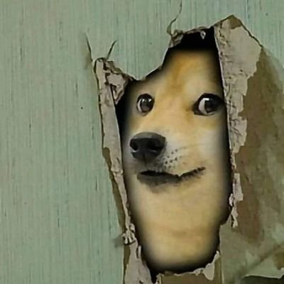 AdarshTakri's profile picture. ❤️