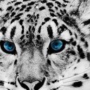 Leanne clay - @Laclay8 - Twitter