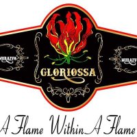 Gloriossa Cigars (@gloriossac) 's Twitter Profile