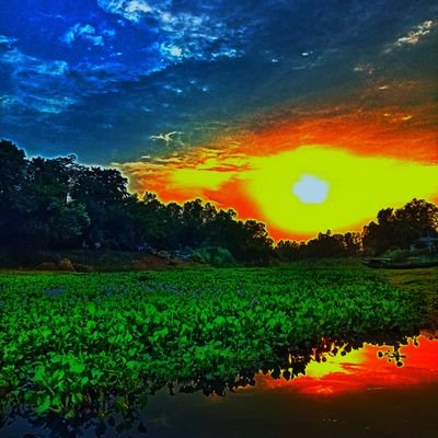 MDAlami41256672's profile picture. 