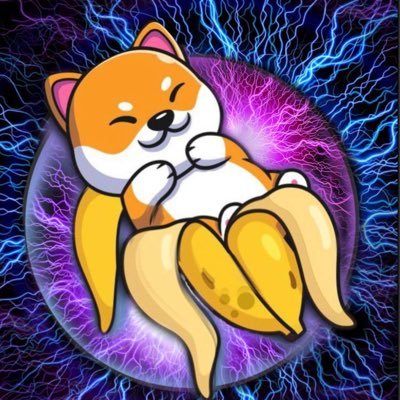 Official NanoDOGE Airdrop Contest Page 🚀                                            Community telegram: https://t.co/jTMMWsKrYd