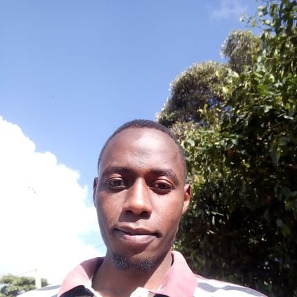 iamkevinmose's profile picture. 