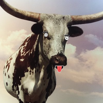 CowRougue's profile picture. 