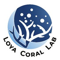 The Loya Coral Lab (@loyacorallab) 's Twitter Profile Photo The Loya Coral Lab (@loyacorallab) 's Twitter Profile Photo
