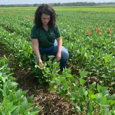 laurenmlazaro's profile picture. 