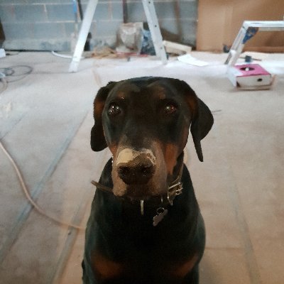 wazmou's profile picture. 