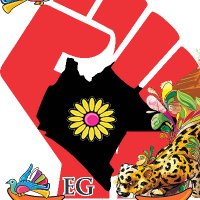EG CHIAPAS (@poderagchiapas) 's Twitter Profile