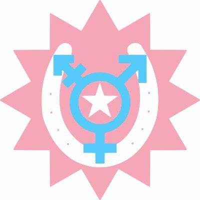 Trans Resistance of Texas (TRoT) is a protest group fighting for trans rights and taking a stand against transphobia in Texas