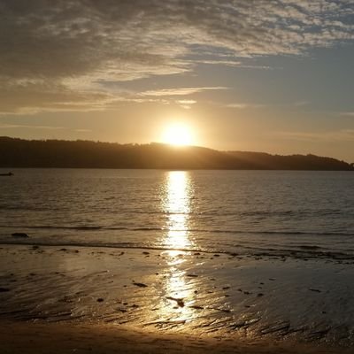 Dentro del porcentaje que sigue creyendo en un Chile mejor...