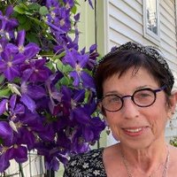 Barbara Shaw (@barbarashawdnp) 's Twitter Profile