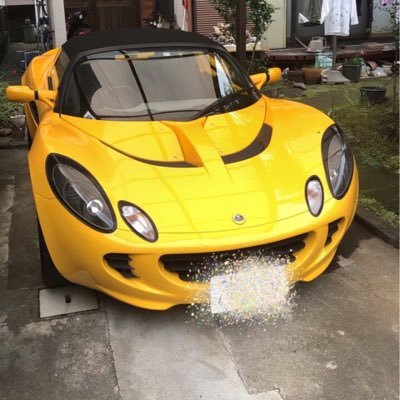 bonney1228's profile picture. 淡水水槽プラケ含めて50本以上。主にプレコ、コリドラス、ワイルドベタ、スネークヘッド、ダトニオ、ポリプテルス、フグ、アピストなど色々飼ってます！淡水魚のお友達少ないのでフォローしてください。海水もやってる！フォロバ返します。好きな事、悪戯、料理、お酒。繁殖頑張りたい！言葉遣い汚いです。スロは引きの鬼。ゴリラアーム持ち。
