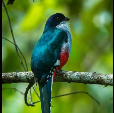 IwasBorn2MeetU's profile picture. Volé para ser libre,No soy manipulable! Ni soporto las injusticias! #LosNiñosNoSeTocan #Trump #Cuba
#wikileaks #Assange # #Trump2024 #CubaBajoDictadura