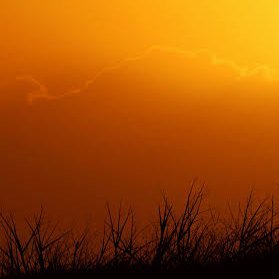 Magnet76930630's profile picture. Magnet