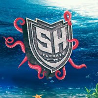 SH Esports(@RealSHesports) 's Twitter Profile Photo