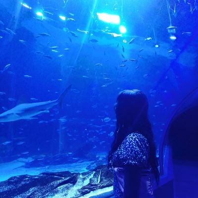☆ The best of me ☆
She/Her | 방탄소년단 💜 | Theorist |
__Samira7__ backup acc.