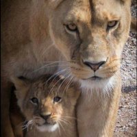 Tarvail Mathis Jr (@tmathisjr5) 's Twitter Profile