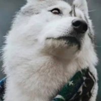 استغفر الله (@s1h4s1h7) 's Twitter Profile