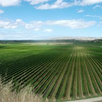 ishigaki (@ibadora) Twitter profile photo