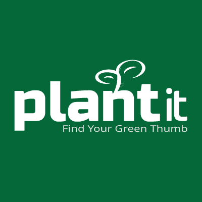 Plant it