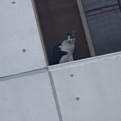 ﾓﾓﾀﾛさんのプロフィール画像