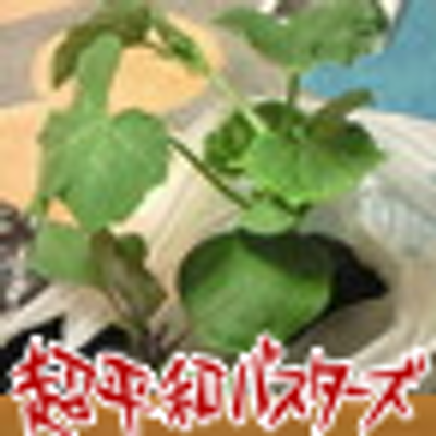 サチキ 恩田陸 蜜蜂と遠雷 読み終わった 一気に読んだ ページ数気になんない 続き読みたくて今日は仕事休みにしたような感じ クラシックとかピアノ知らなくても全然問題ない 気づいたら自分も登場人物のピアノ T Co Tswurr5j70 サチキ 恩田陸 蜜蜂と遠雷 読み終わった 一気に読んだ ページ数気になんない 続き読みたくて今日は仕事休みにしたような感じ クラシックとかピアノ知らなくても全然問題ない 気づいたら自分も登場人物のピアノ T Co Tswurr5j70
