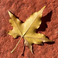 Choicky (@choicky) 's Twitter Profile Photo